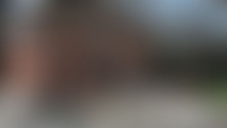 পুজো দেখতে জমায়েতের অনুমতি নেই, মিশনের কুমারী পুজো লাইভ সম্প্রচারে