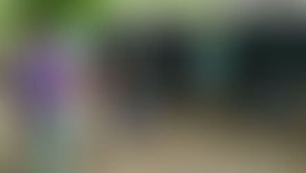 ধানের বস্তা চাপা পড়ে মৃত দুই নাতি ও ঠাকুরমা