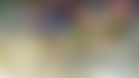 চাঁচলে রাস্তায় ধানের চারা লাগিয়ে প্রতিবাদ গ্রামবাসীদের