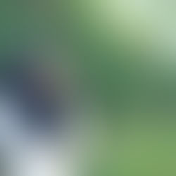 হিজাব বিতর্ক এবার মালদায়, স্বাস্থ্যকর্মীকে বাধা দেওয়ার অভিযোগ