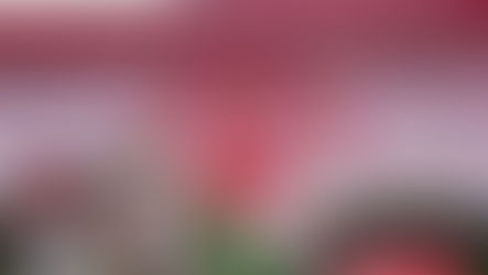 করোনা রুখতে মহাযজ্ঞে সাংসদ-বিধায়ক