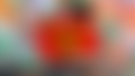 গনির গড়ে দুই ফুলের টক্কর