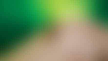 সচেতনতাই বাঁচার অঙ্গ, হুল ফোটাচ্ছে ডেঙ্গু