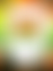 হরিশ্চন্দ্রপুর, বৈষ্ণবনগরে প্রার্থী ঘোষণা বিজেপির, ইংরেজবাজারে এখনও জল্পনা