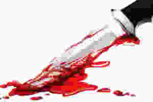 Revenge Killing