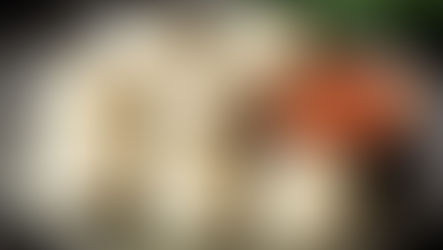 চোখ বুজে পেটে পুরুন, মোমো-চপের ঘণ্ট