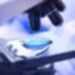 Biópsia de Próstata