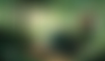 Embarque na Aventura de "Verde Louro" Antes dos Spoilers!