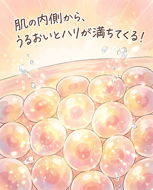 肌のうるおいとハリ.png