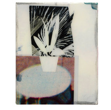 Thomas Bogaert Flowers on the table II, 2022.jpeg