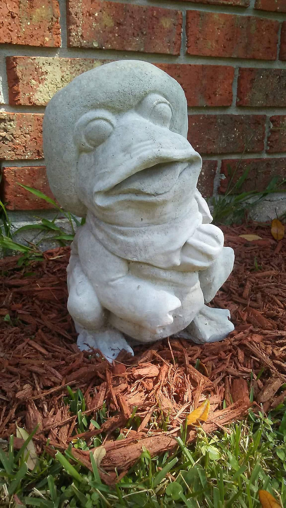 Frog