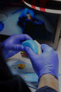 Curso reabilitação de dentes endodonciados endo.trainer endotrainer
