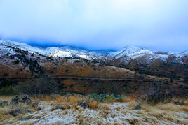 Arizona winter