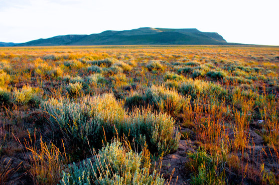 Hart Mountain
