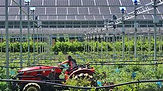 Agrivoltaïque 7.jpeg