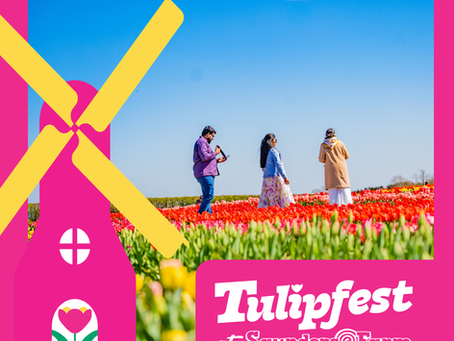 Tulipfest at Saunders Farm dates announced!