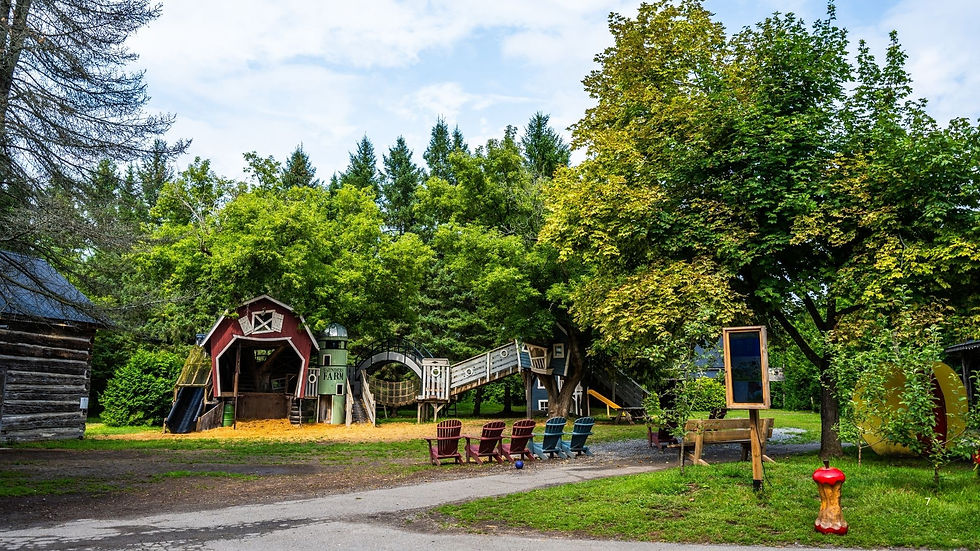 Summer Maze Days starts TOMORROW!