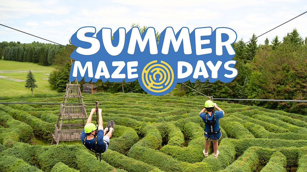 The wait is almost over… Summer at Saunders Farm starts July 15!