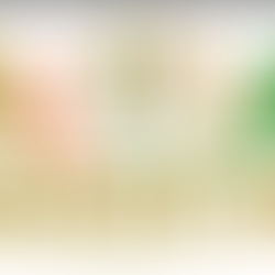 What SEDFA in South Africa Can Finance