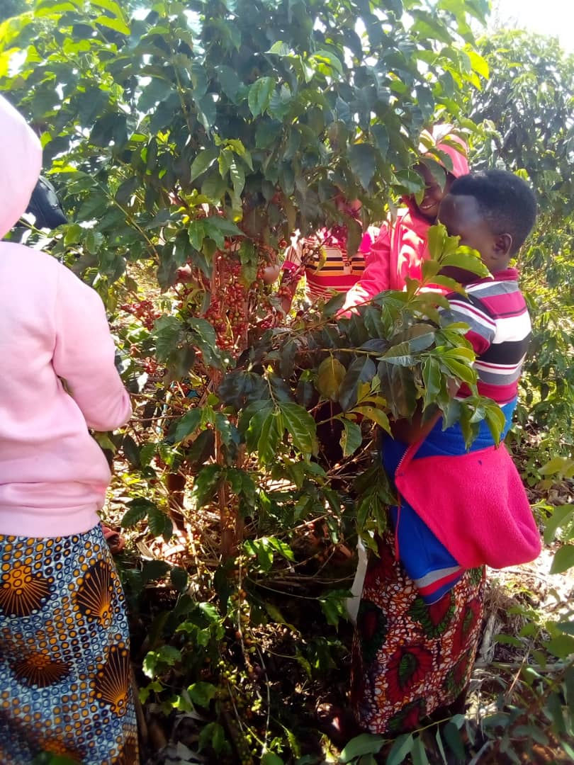 WhatsApp Image 2025-11-19 at 10.00.27 PM (1).jpeg