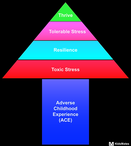 Adverse Childhood Experience / ACE / Toxic Stress / Resilience / Tolerable Stress / Resilience / Childhood Stress / Childhood Trauma / KidsMates / Dr. Rosemary Martoma