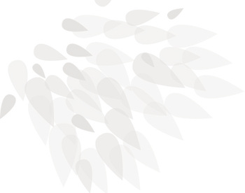 folhas-01-incasa.png