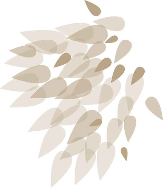 folhas-04-incasa.png