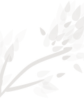 folhas-02-incasa.png