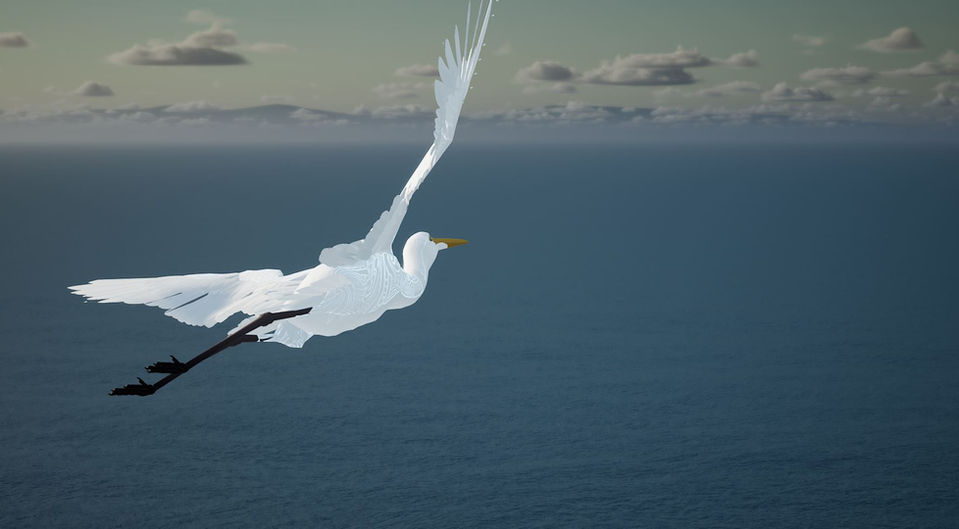 Nav Bird.JPG