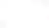 bg.webp