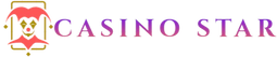 카지노스타로고