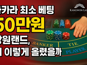 🎰 바카라 최소 베팅 5만원 → 50만원! 강원랜드, 왜 이렇게 올렸을까?