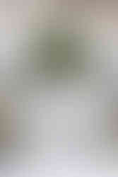 Pastel wedding decor centerpiece