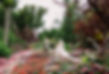 Secret Garden Wedding Mackinac Island