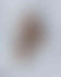 Badgley Miscka Wedding shoes detroit