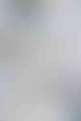 Elegant custom engraved champagne coupes 