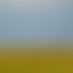 Less is More: Mastering the Art of Focused Simplicity in a Noisy World