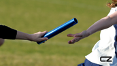 Close-up of a relay race baton handoff between two runners. One hand passes a blue baton to another. Blurred green field background.