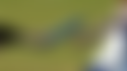 Close-up of a relay race baton handoff between two runners. One hand passes a blue baton to another. Blurred green field background.