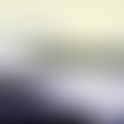 Why Only You Can Be the Author of Your Story