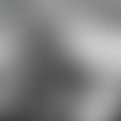 This Is the Most Honest Week of the Year