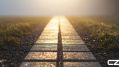 Close-up of a sunlit path with wet stone tiles and green grass on the sides, creating a serene and hopeful morning atmosphere. Craig Zuber's Weekly Edge
