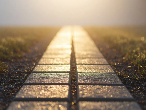 Close-up of a sunlit path with wet stone tiles and green grass on the sides, creating a serene and hopeful morning atmosphere. Craig Zuber's Weekly Edge