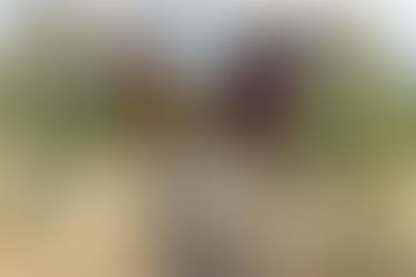 How to Host an Event as an Influencer