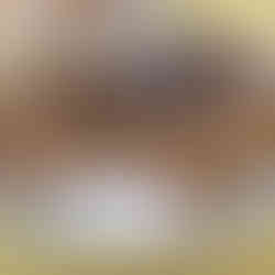 Chick-Fil-A Wesley Chapel brownies and cookies