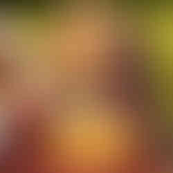 Rising Star Event Planning photo of table scape for fall event