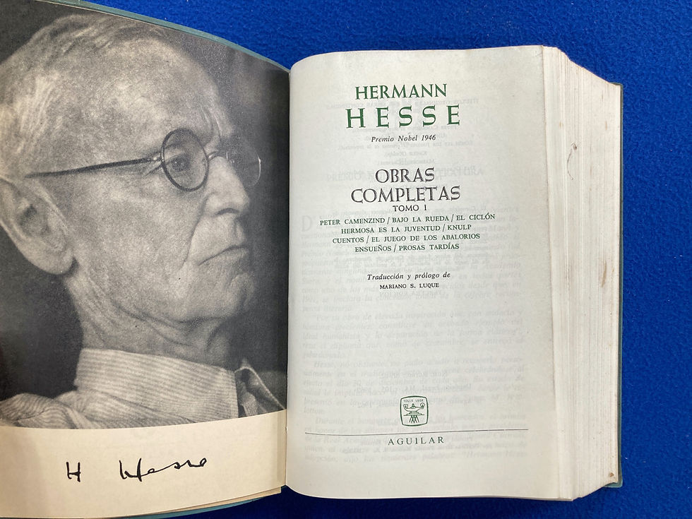 Miniatura: Obras completas - Hermann Hesse