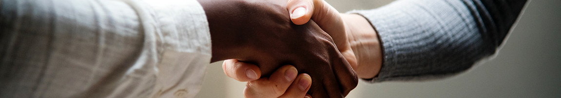 a african man and white man handshake