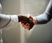 Loyalty and Retention Studies