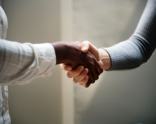 Strategic Partnerships & Growth Architecture